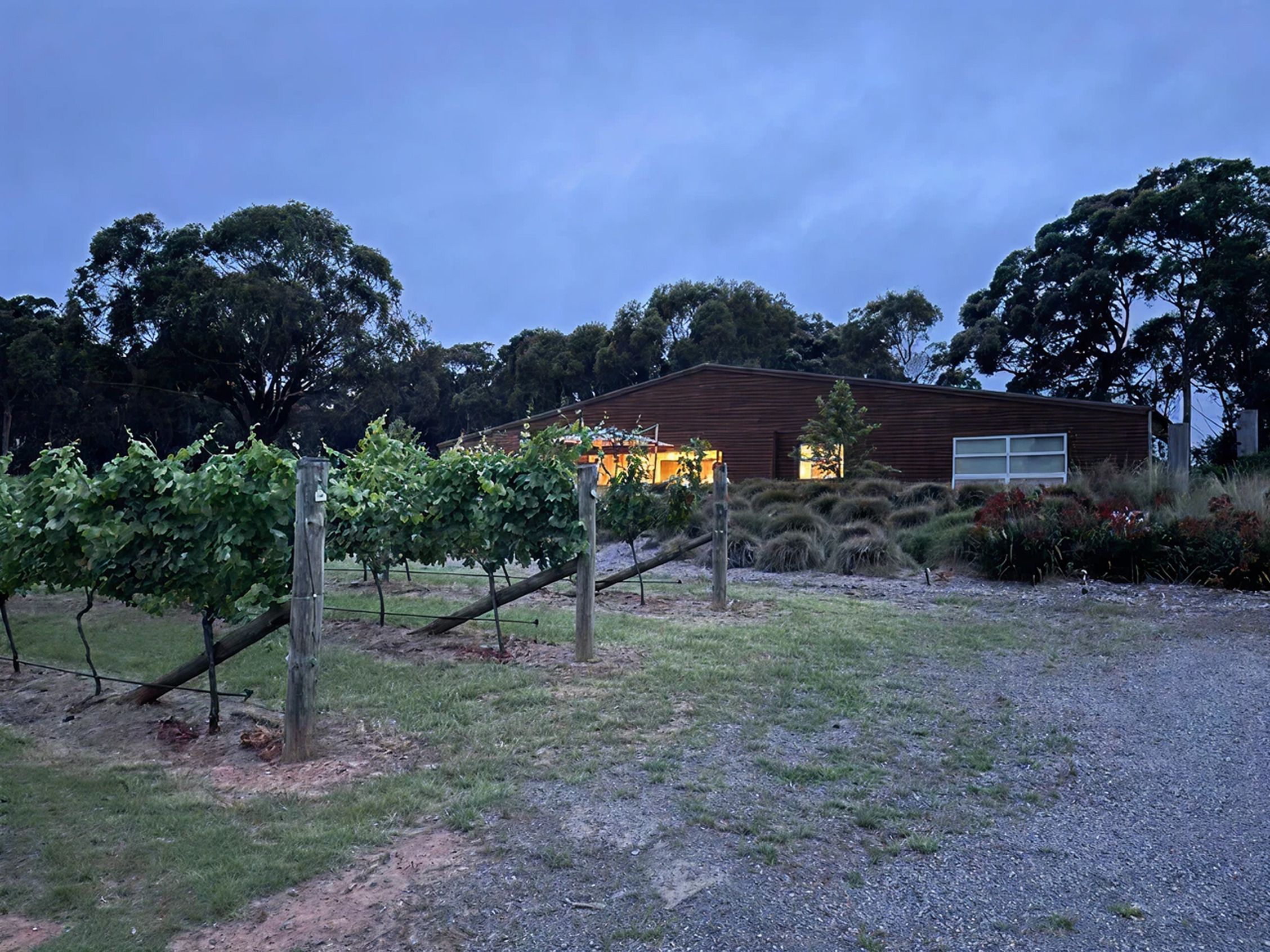 Vineyard Vineyard